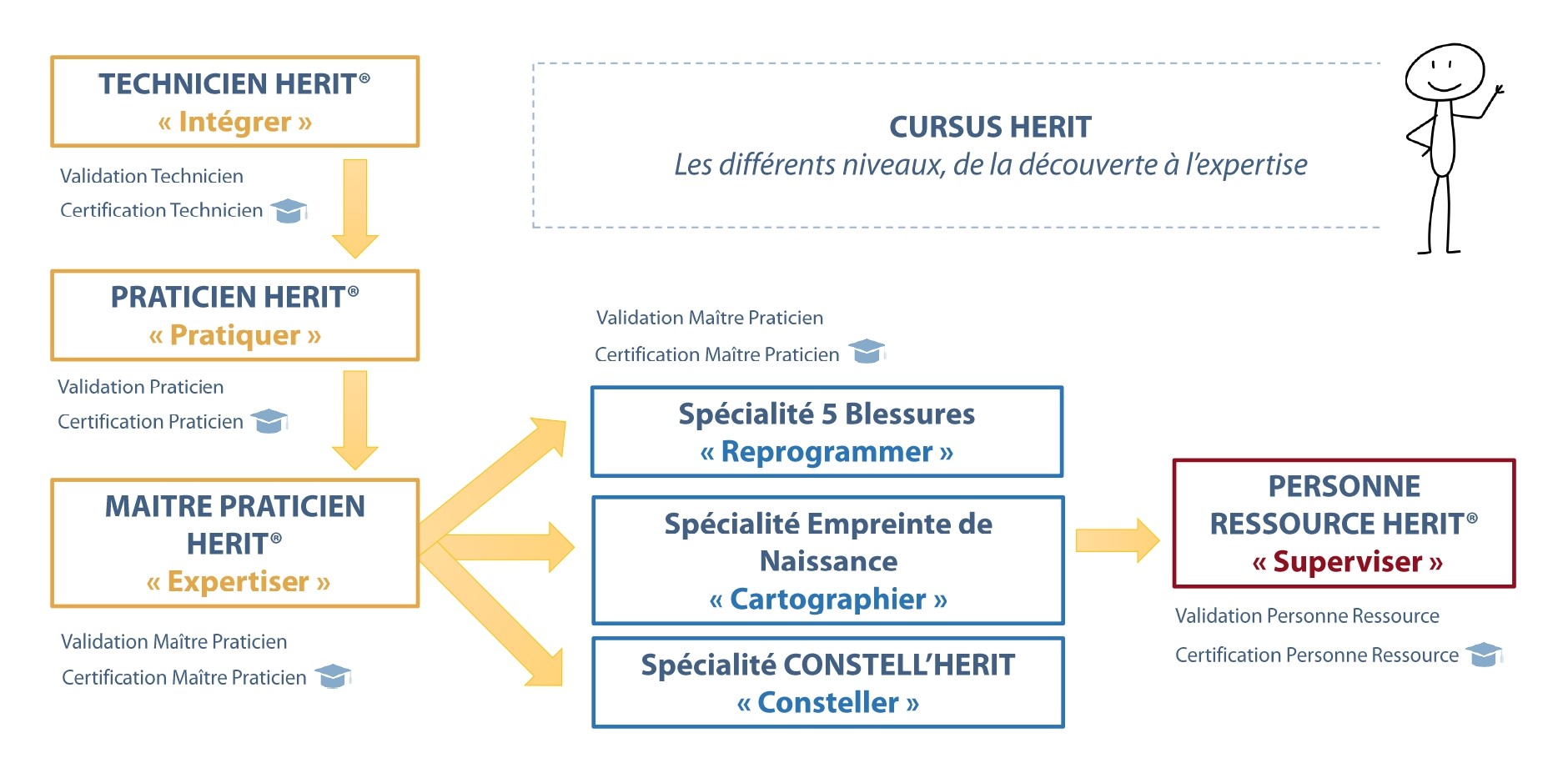 cursus HERIT - schéma